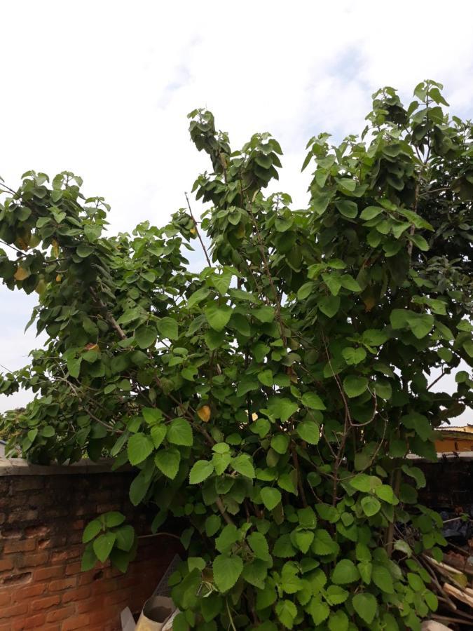 Bizi Homes Kigali Zewnętrze zdjęcie